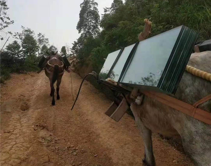 枞阳县马帮运输工程队